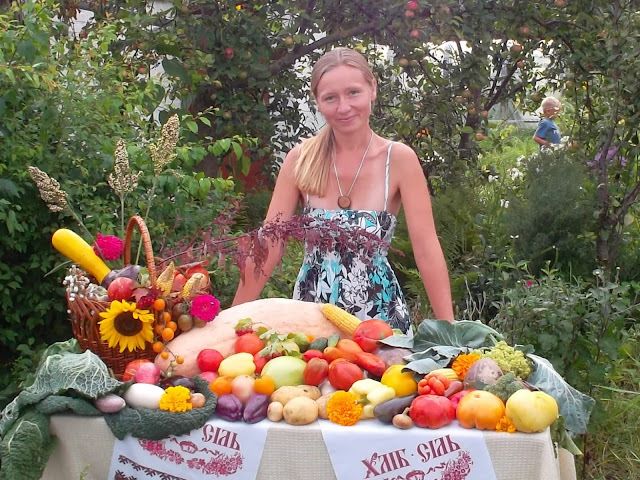 Родина городників Білоусів із села Прислуч, що на Хмельниччині, прославилася на всю Україну вирощуванням високопродуктивних сортів овочів